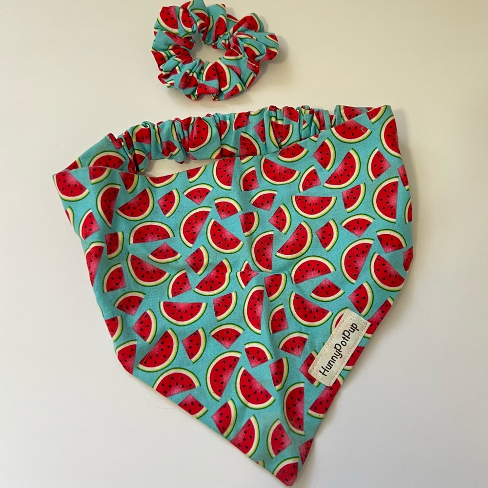 Hunny Pot Pup Watermelon print dog bandanna and matching scrunchie